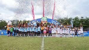 字母哥30+10空接准绝杀罗林斯29分 雄鹿逆转黄蜂