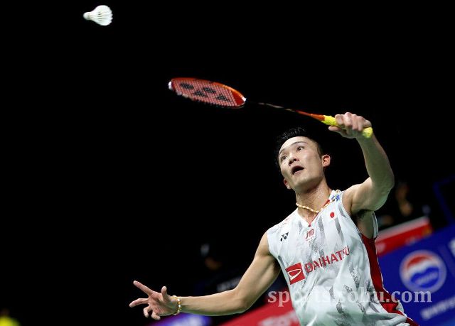 雄鹿如何留 雄鹿如何留