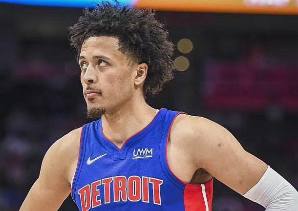 的双重布局 的双重布局