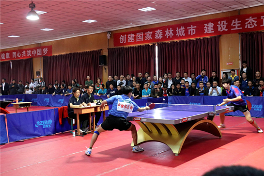 莱沃库森从 莱沃库森从